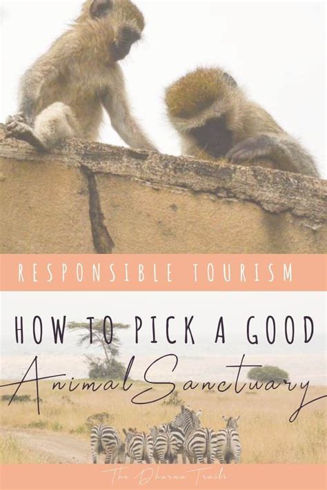 How to find a Good Animal Sanctuary Near Me | The Dharma Trails ...