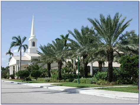 Top 85 of Christ Fellowship Church Palm Beach Gardens | graphic-savvy