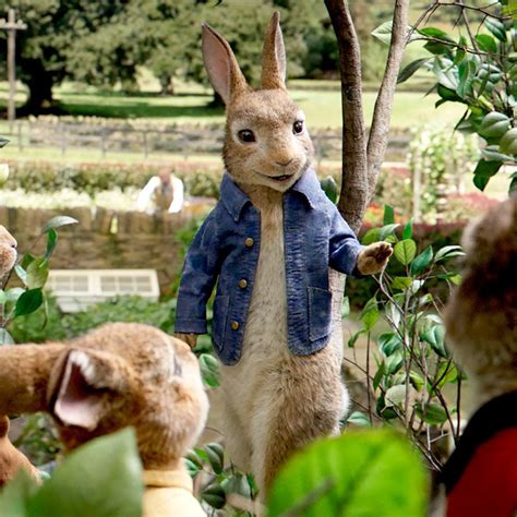 Peter Rabbit 2: The Runaway movie information