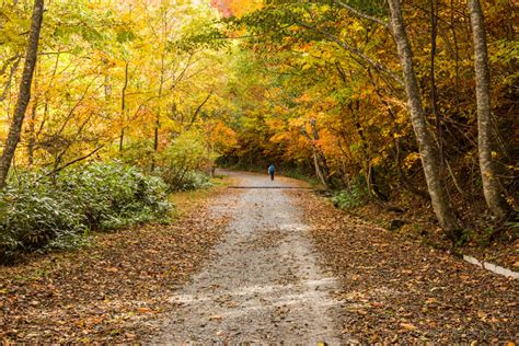 Oze National Park in Autumn - RIDGELINEIMAGES.com