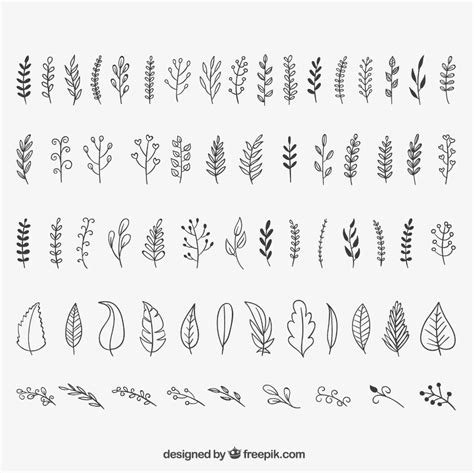 30 Easy Ways to Draw Plants & Leaves | Leaf drawing, Plant tattoo, Leaves doodle