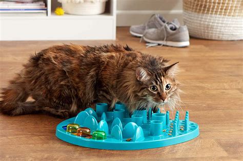 Best Cat Food Puzzle Toys: Top Picks For Engaging Feline Fun