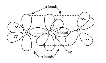 Allene is structurally related to carbon dioxide, CO2. Draw a picture showing the orbitals ...