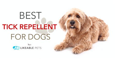 Best Tick Repellent for Dogs