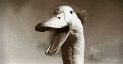 Who will be the new voice of Aflac duck? - CBS News