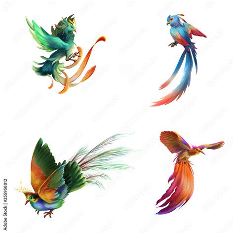 Fantasy and Realistic Bird. Animal Character Design. Concept Art ...