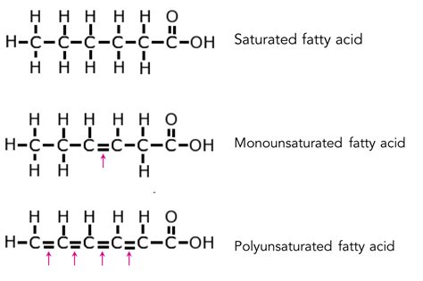 Polyunsaturated Fatty Acids and Health