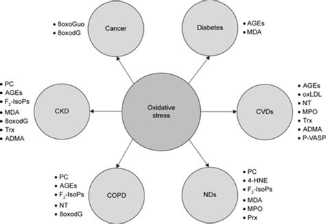 Oxidative Stress & Specialized Markers - part 3