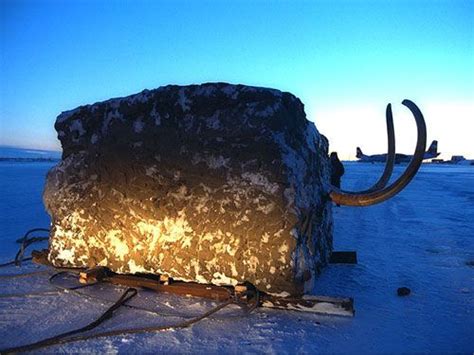 That’s no ordinary block of ice. The Jarkov Mammoth, shortly after it was found in 1997 Rocks ...