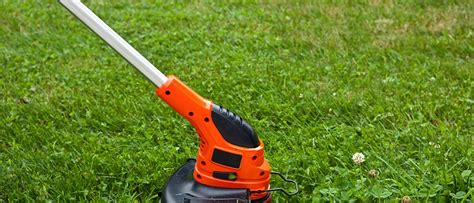 List of Essential Tools for Quick Spring Yard Cleanup