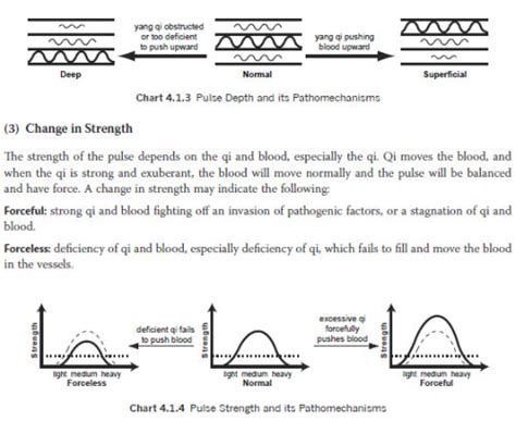 Traditional Chinese Medicine Diagnosis Study Guide