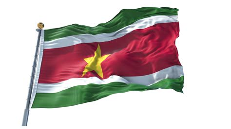 suriname flagga png 12300984 PNG