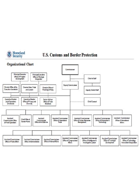 2024 DHS Organizational Chart - Fillable, Printable PDF & Forms | Handypdf