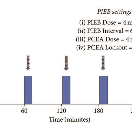 Pump settings in the (a) programmed intermittent epidural bolus (PIEB)... | Download Scientific ...