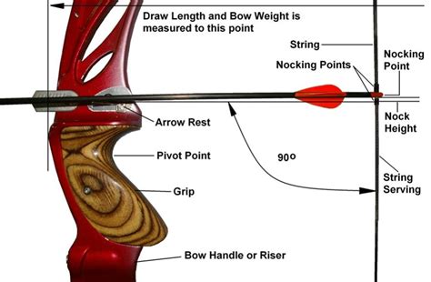 How To Determine Arrow Length For Bow