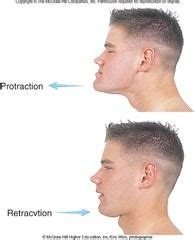 This image shows the movement of protraction and retraction. Protraction is the movement of a ...