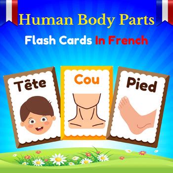 Human Body Parts in french. Printable flashcards for kids. | TPT