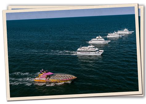 Rudee Tours | Virginia Beach Dolphin Watching, Fishing Trips & Boat Rides