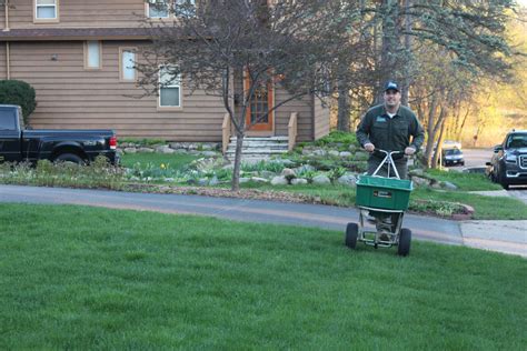 Lawn Seeding and Overseeding Tips for MN Lawns