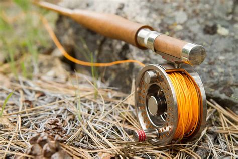 How to Fish for Trout: Top Tips for Beginners in 2024