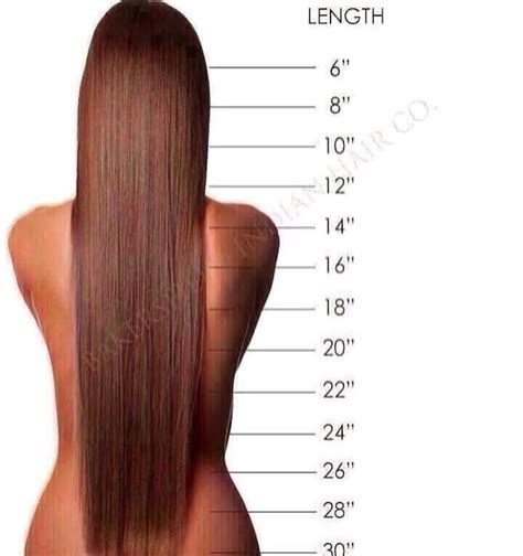 hair length chart | Hair, hair... Oh and more hair | Pinterest | My hair, Hair chart and Hair ...