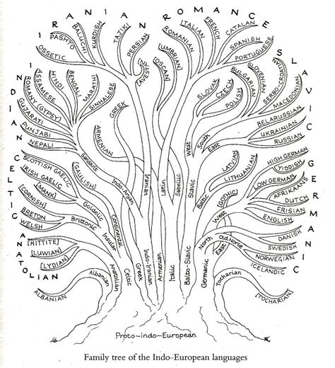 Journal Online Links Studies in Asia: Family tree of the Indo-European ...