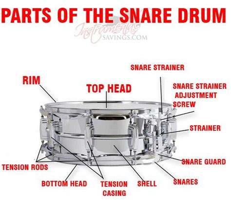 Parts of the Snare Drum