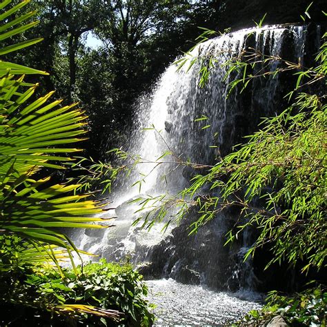 IVEAGH GARDENS (Dublin) - All You Need to Know BEFORE You Go