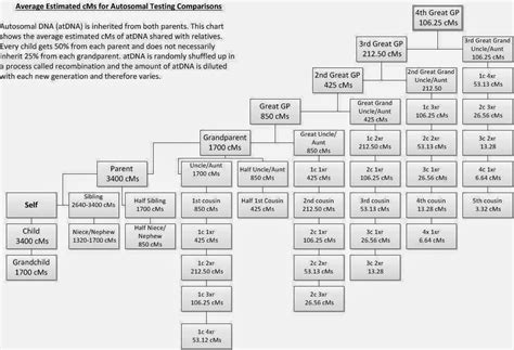 Hoosier Daddy?: Centimorgans or Percentages?