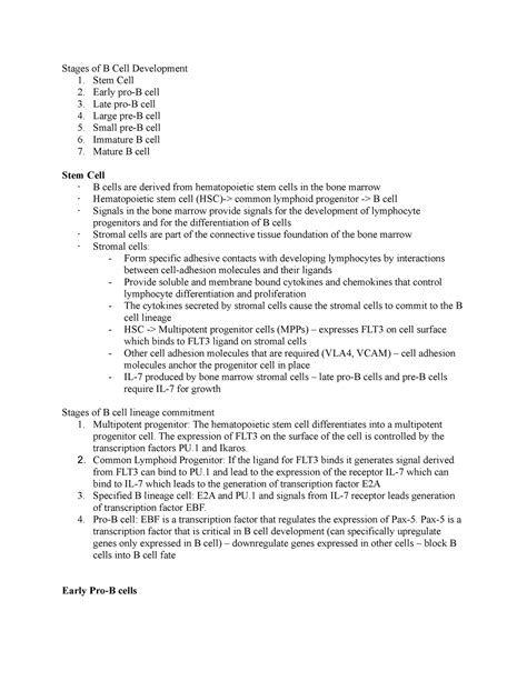 Stages of B Cell Development - Stages of B development from stem cell ...