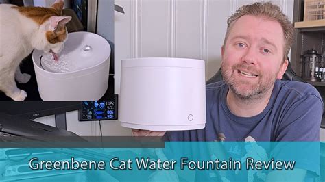 PET FOUNTAIN WITH UV LIGHT - Greenbene Cat Water Fountain Review - YouTube