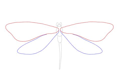 How to Draw Dragonflies | Design School