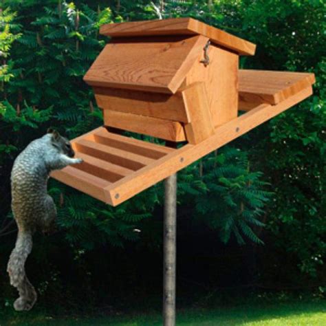 10 Ways to Prevent Squirrels from Reaching Birdseed Small Bird Feeder ...