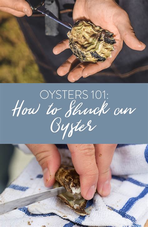 Single Post (With images) | Oysters, Shucking oysters, Shucking