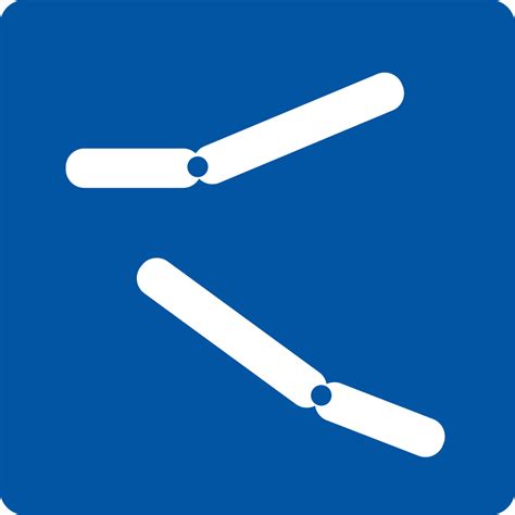 FISH Probes - Fluorescence in situ Hybridization Probes