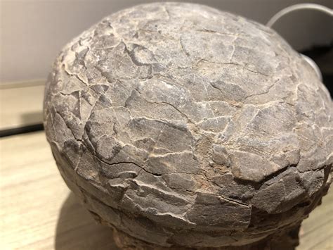 Need Help, real or fake dinosaur egg? - Is It Real? How to Recognize Fossil Fabrications - The ...