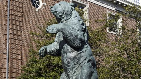 Photos: The legacy of Brown’s mascot lives on in campus bear statues ...