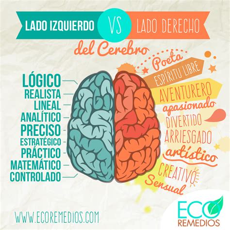 #Infografia #Cerebro lado izquierdo #vs lado derecho #Creativo vs # ...