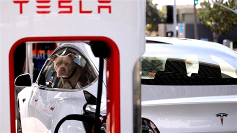 Don't use Amazon adapter to charge EVs at a Tesla Supercharger