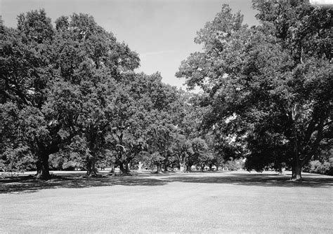 Pictures 3 Oaklawn Plantation Mansion, Natchez Louisiana