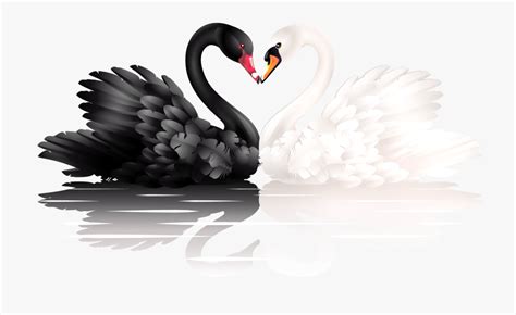 two swans heart clipart pictures 10 free Cliparts | Download images on ...