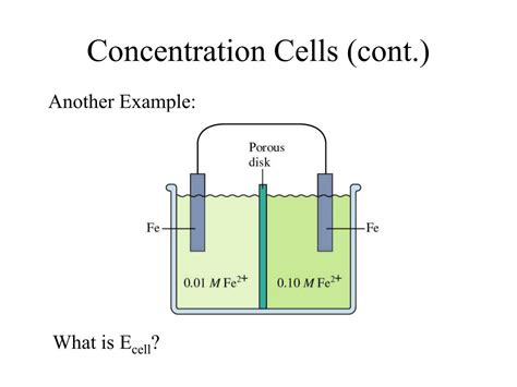 PPT - Lecture 13: The Nernst Equation PowerPoint Presentation, free download - ID:6787763