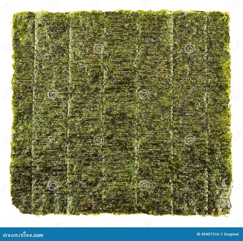 Nori edible seaweed sheet stock photo. Image of backdrop - 45407316