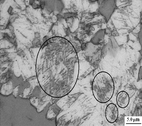 Microstructure of specimen LD X-2. Martensite portions inside the... | Download Scientific Diagram