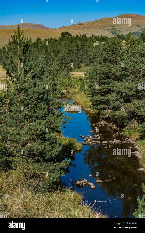 View at Crni Rzav river on Zlatibor mountain in Serbia Stock Photo - Alamy