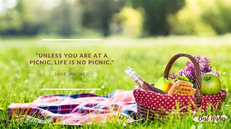 20 Famous International Picnic Day Quotes & Sayings