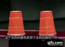 Pin by Will Cravitz on 第十三单元的GIFs | Plastic cups, Cup, Best funny pictures