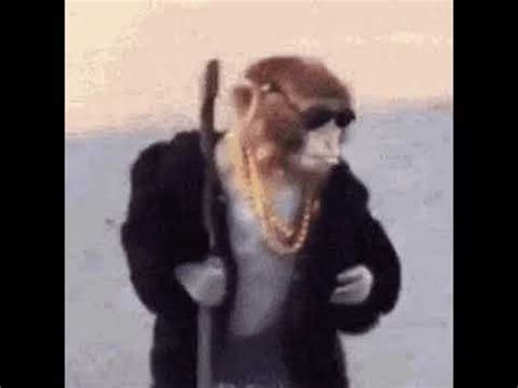 Monke GOT THAT DRIP RESPECT MONKEY NOW - YouTube