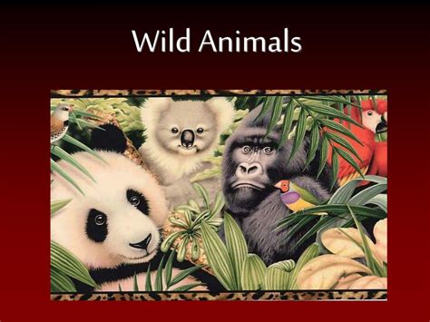 PPT - Wild Animals PowerPoint Presentation, free download - ID:1359851