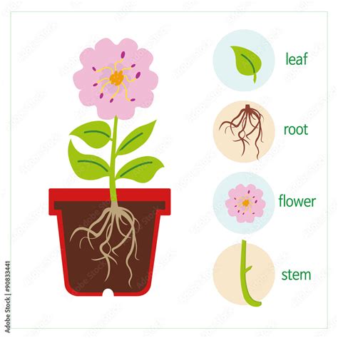 Flower Stem And Leaf Template | Best Flower Site